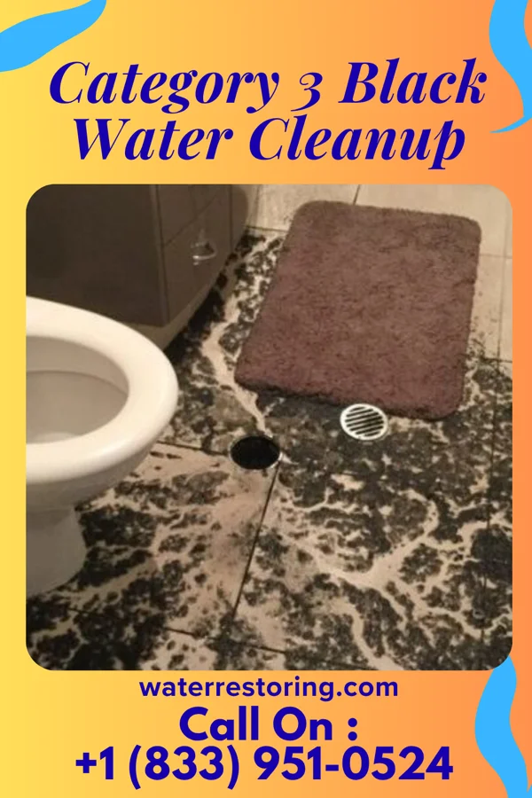 Category 3 Black Water Cleanup in Syracuse, NE