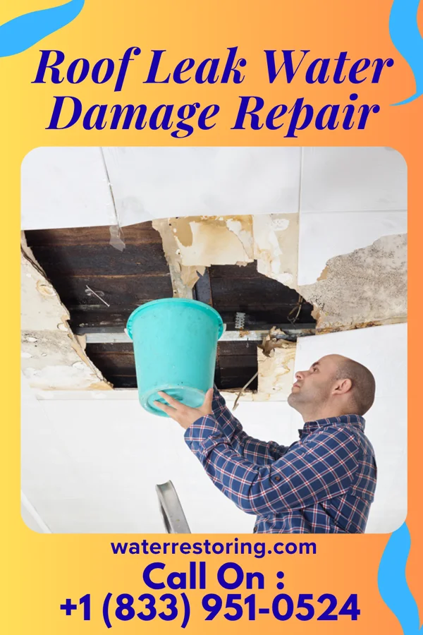 Roof Leak Water Damage Repair in Syracuse, NE